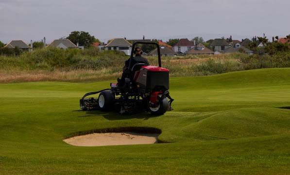Grass for professional turf management